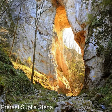 Apartment Mijatovic Donji Milanovac